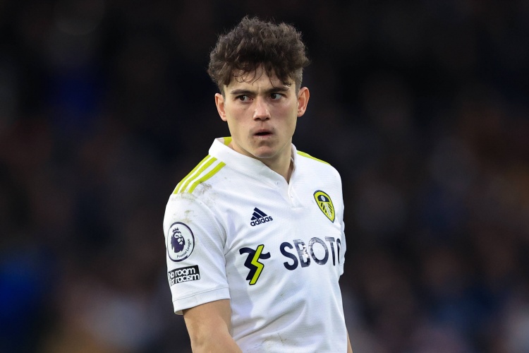 达洛的主力 达洛的主力