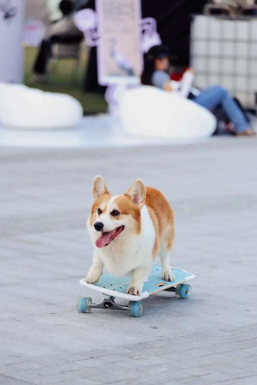 万人次接待, 势突围