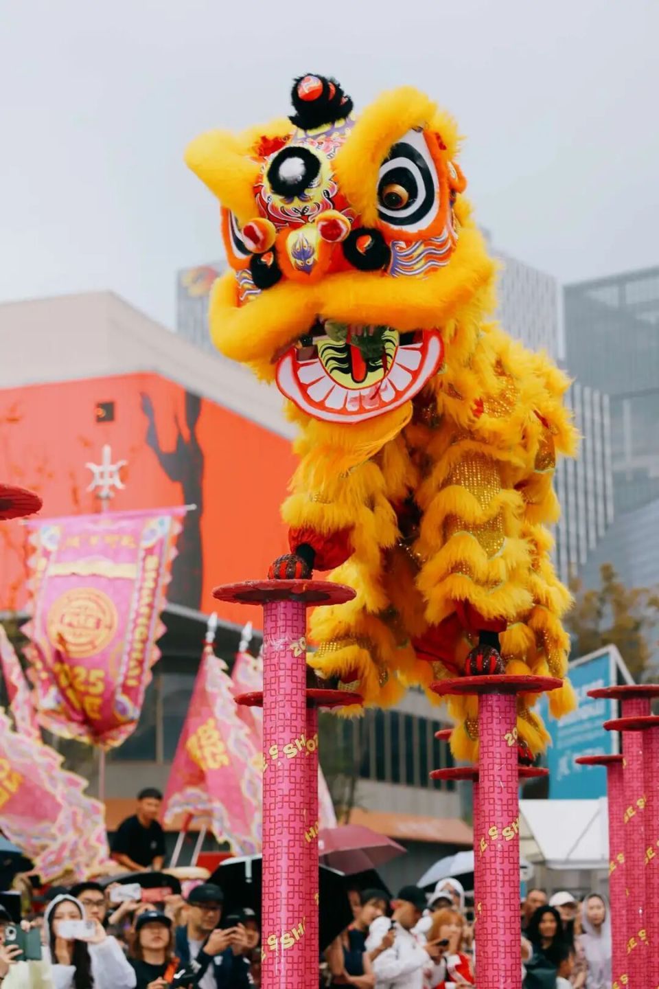 为主题的这, 选手分获冠